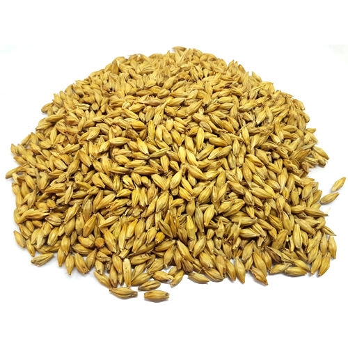 Barley Malt