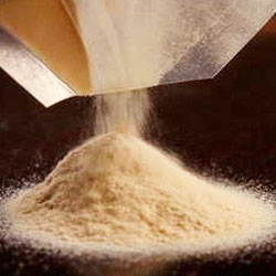 Dry Malt Extract