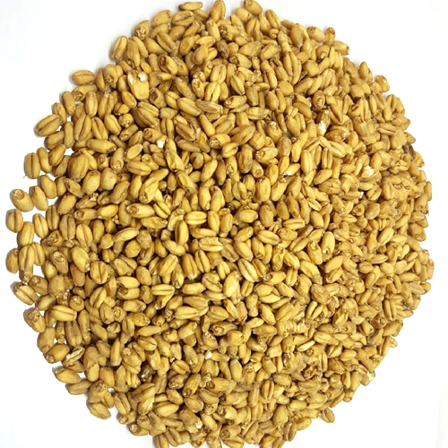 Wheat Malt